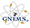 G&N Electronic and Medical Solutions