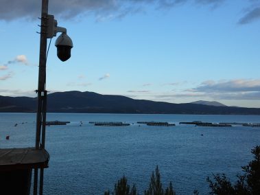Ασφαλίζοντας ιχθυοκαλλιέργειες